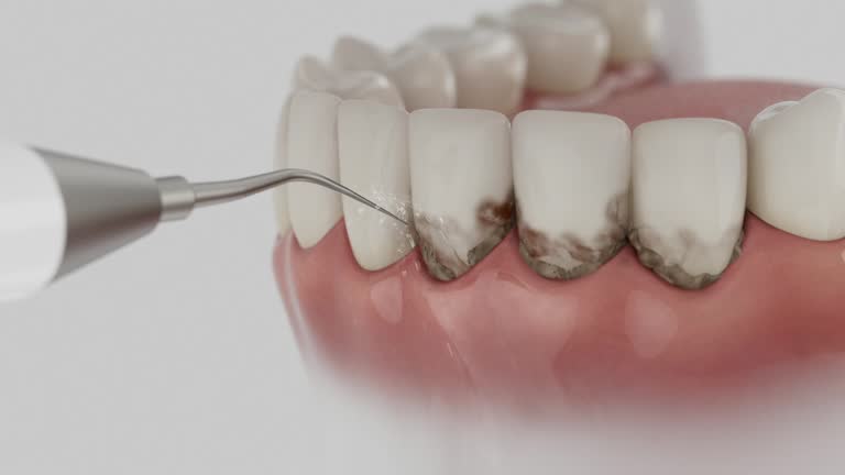 Reliable Dental contractor in Mansfield, LA by Dentist Open Now